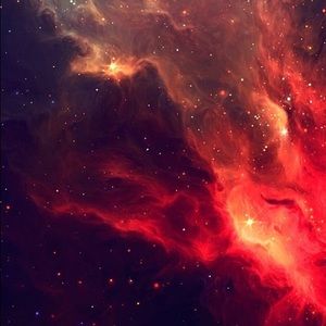 Meet your Posher, Patryk